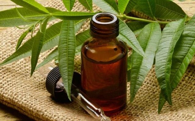 Tea tree oil - a folk remedy to get rid of penile warts
