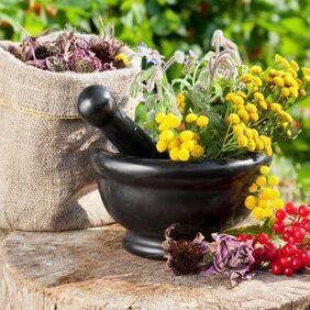 Herbal remedies for papilloma